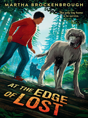 cover image of At the Edge of Lost